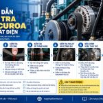 Quy trình kiểm tra dây curoa